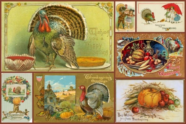 Antique Thanksgiving postcards from ClickAmericana com