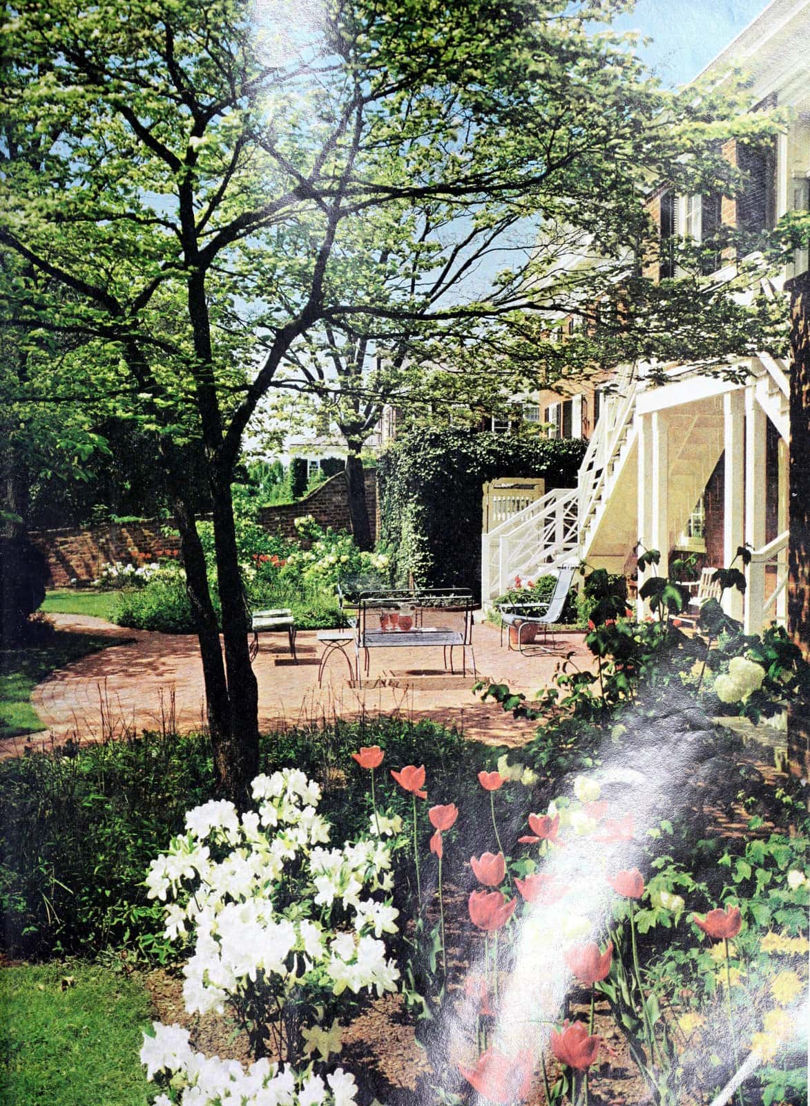 Peaceful garden backyard design (1966)