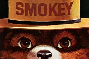 The story of Smokey the Bear