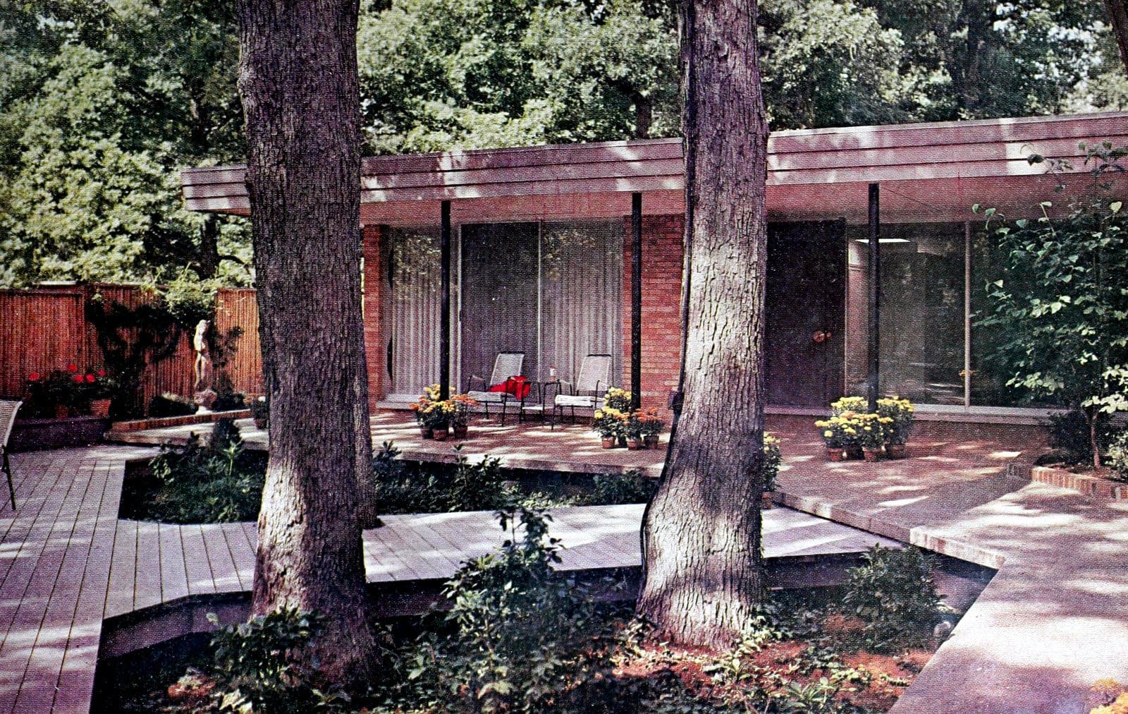 Vintage backyard with trees and decking paths (1960)