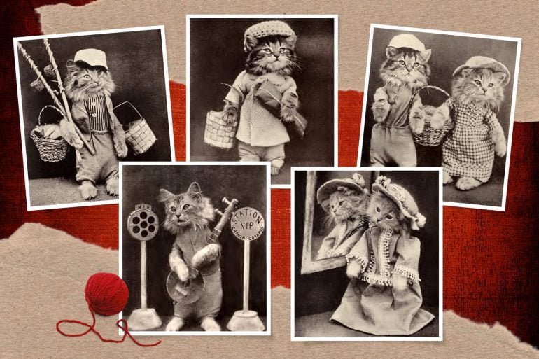 Vintage cute kittens in photos at Click Americana